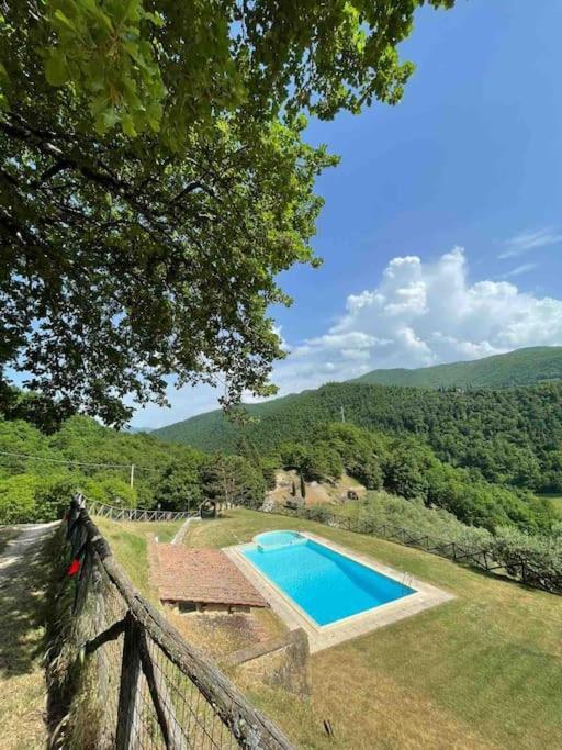Il Colle - Apartment Pino Firenze Bagian luar foto