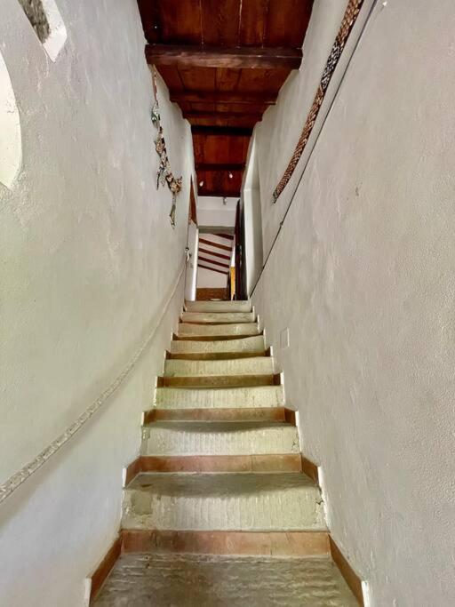 Il Colle - Apartment Pino Firenze Bagian luar foto
