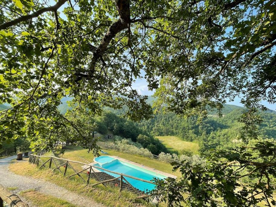 Il Colle - Apartment Pino Firenze Bagian luar foto